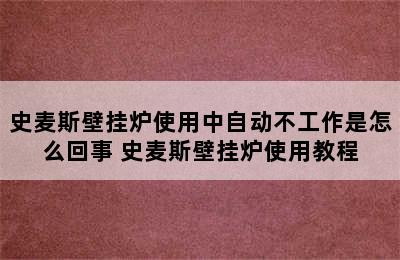 史麦斯壁挂炉使用中自动不工作是怎么回事 史麦斯壁挂炉使用教程